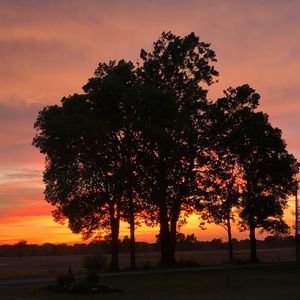 Meet your Posher, Brooklyn